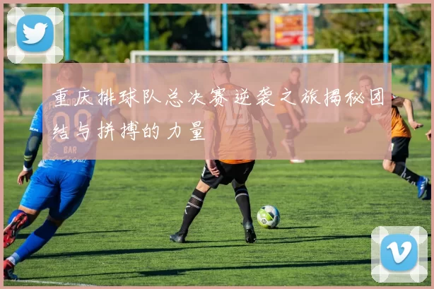 重庆排球队总决赛逆袭之旅揭秘团结与拼搏的力量