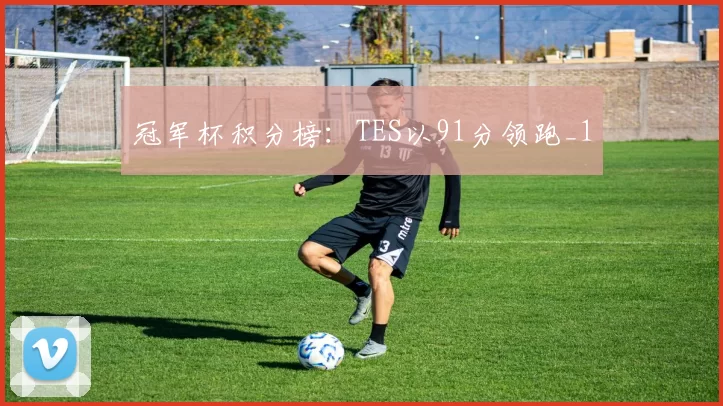 冠军杯积分榜：TES以91分领跑_1