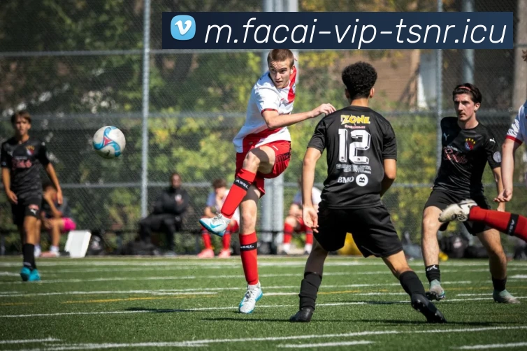 乐鱼体育APP 高清赛事图